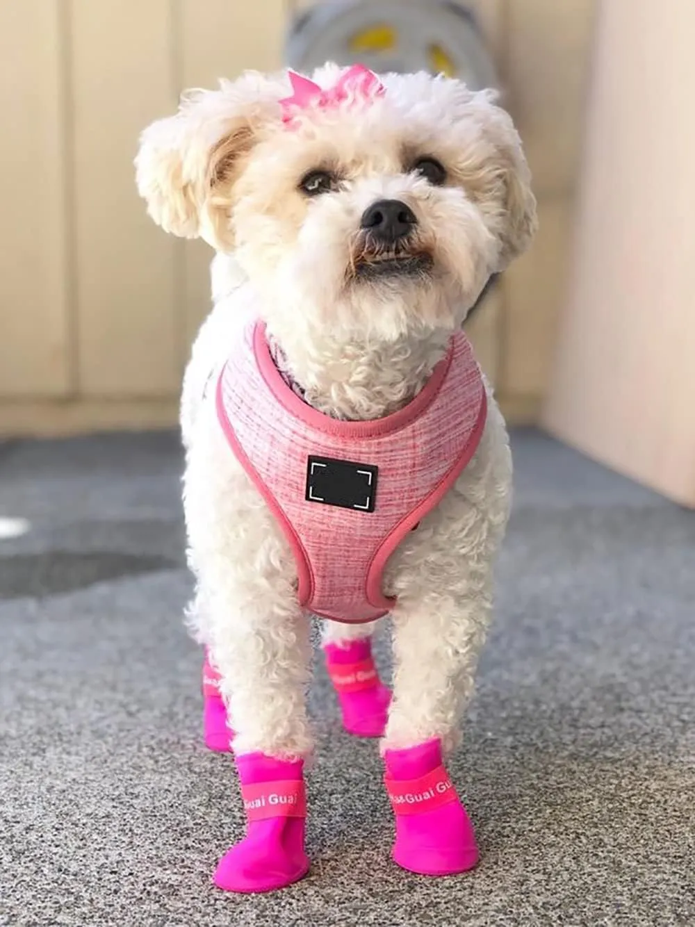 Cute Little Pet Dog Puppy Rain Snow Boots Shoes Booties Candy Colors Rubber Waterproof Anti-Slip (Rose Red, XX-Large)