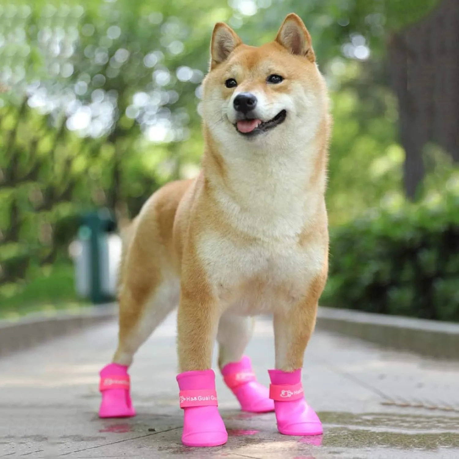 Cute Little Pet Dog Puppy Rain Snow Boots Shoes Booties Candy Colors Rubber Waterproof Anti-Slip (Rose Red, XX-Large)